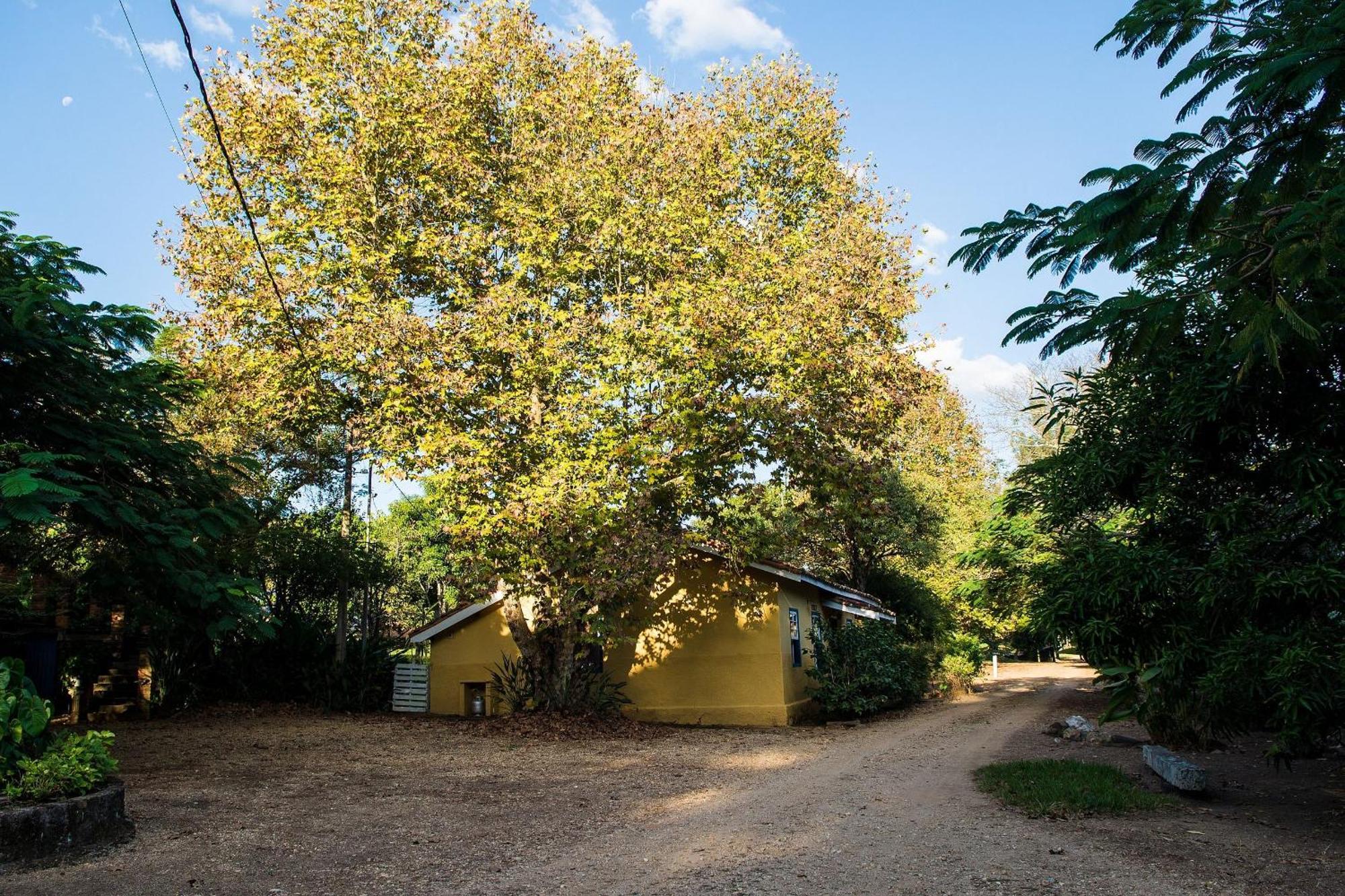 Fazenda Santa Thereza - Itapira Esterno foto
